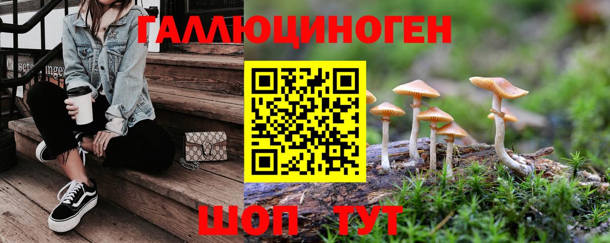 Псилоцибиновые грибы ЛСД  Вход с VPN  Владимир  Галлюциногенные грибы Psilocybine cubensis 