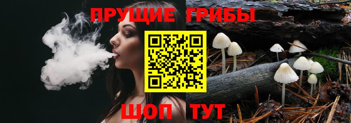 Псилоцибиновые грибы мухоморы Владимир